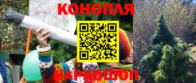 молекула духа Гусев