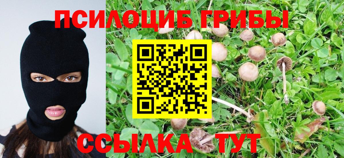 Псилоцибиновые грибы Magic Shrooms Назарово